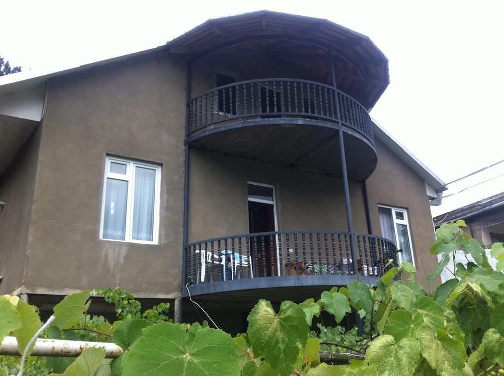 Grimis Villa Borjomi ภายนอก รูปภาพ